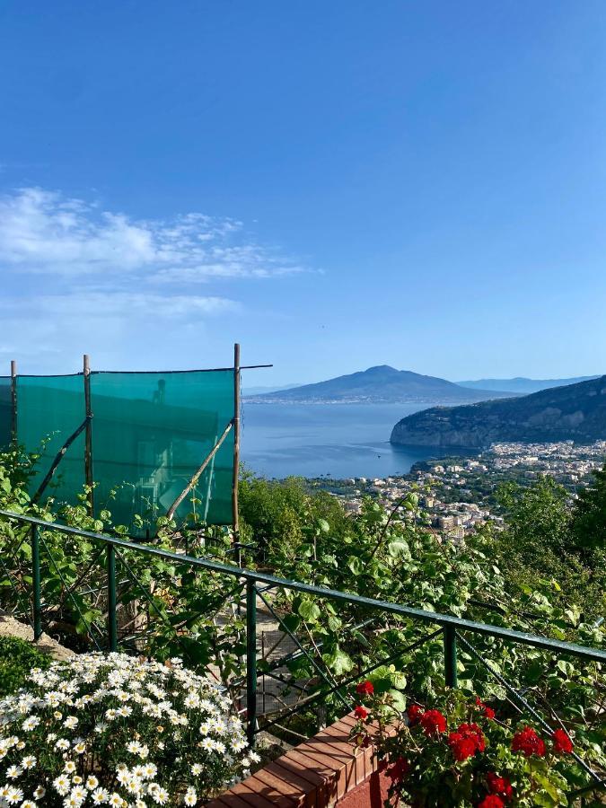 Villa Monica B&B Соренто Екстериор снимка